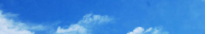 社會誠信誰來護(hù)？