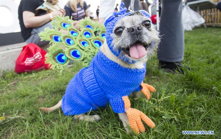 XINHUA PHOTOS OF THE DAY