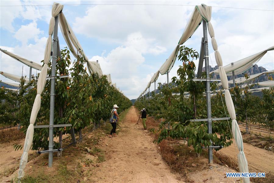 CHINA-SHANDONG-RIZHAO-ECOLOGICAL PARK-DEVELOPMENT (CN)