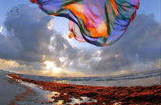 攝影師鏡頭下的美麗中國(guó)