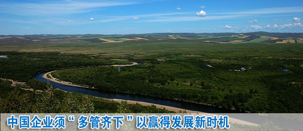 中國企業須“多管齊下”以贏得發展新時機