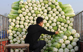 聚焦十月經濟數據