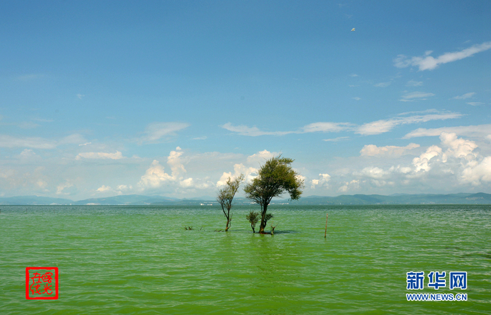 陽光昆明，爽爽的春城