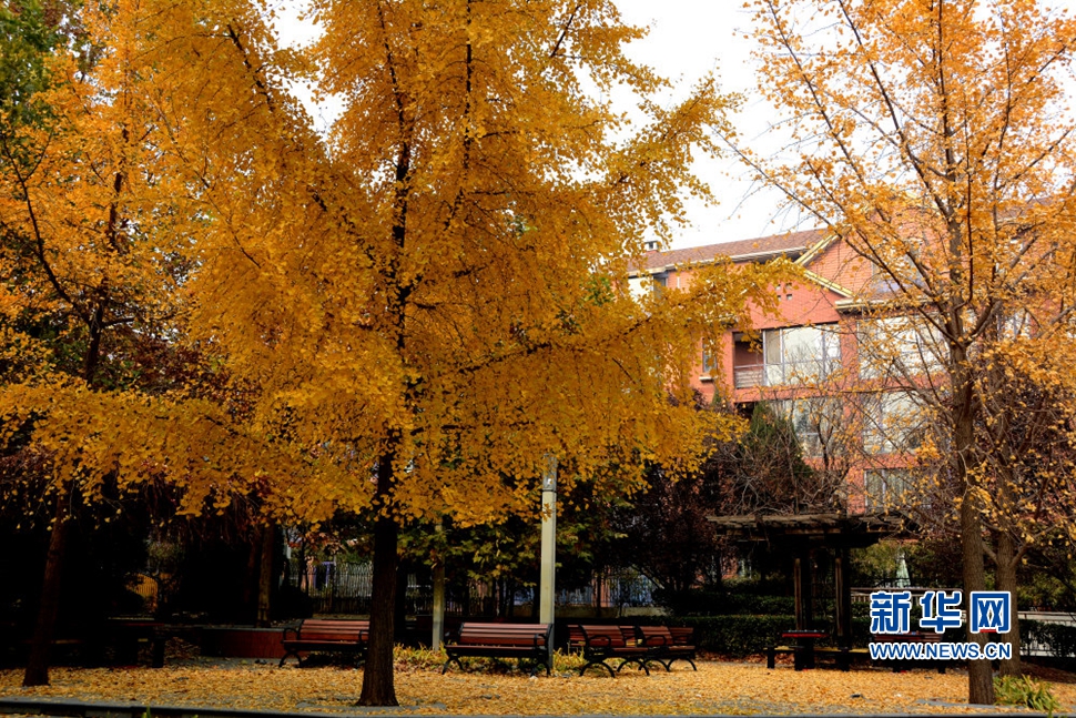 《無(wú)盡畫意鏡頭中》