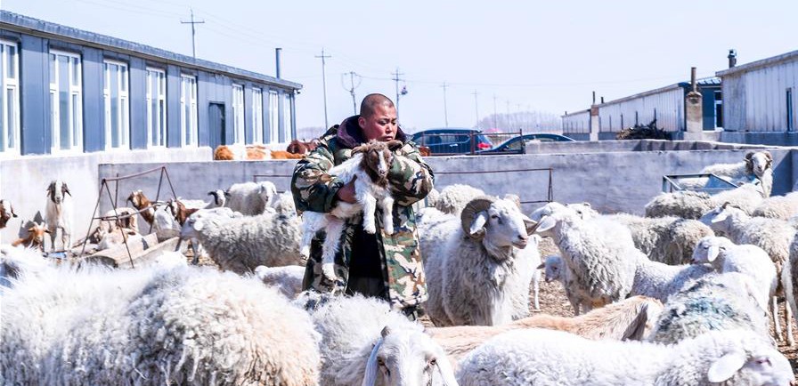 易地搬遷讓村民“住得好、能致富”
