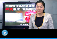 權(quán)威聲音：“快時代”究竟還有什么可以速成？