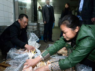 江西宰殺、冷凍積壓禽肉 緩解H7N9禽流感影響