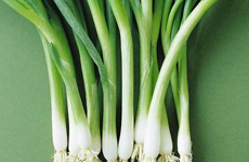 養生:春天吃點蔥和蒜