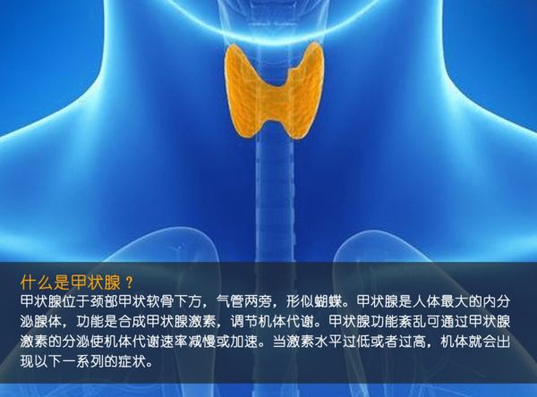 關(guān)注甲狀腺健康，你應(yīng)該知道的那些事