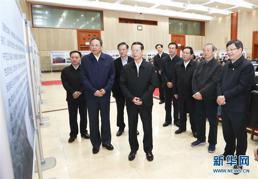 1月9日至10日，國(guó)務(wù)院副總理張高麗在安徽調(diào)研推動(dòng)長(zhǎng)江經(jīng)濟(jì)帶發(fā)展工作。這是1月10日，張高麗主持召開推動(dòng)長(zhǎng)江經(jīng)濟(jì)帶發(fā)展工作會(huì)議前聽取介紹。新華社記者 龐興雷 攝
