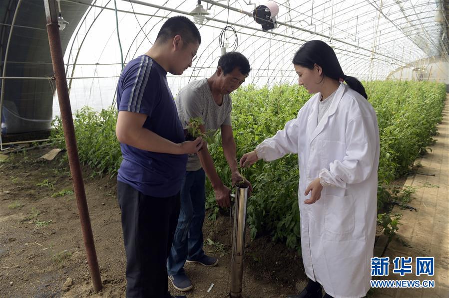 （經濟）（1）推廣農業(yè)科技助推鄉(xiāng)村振興