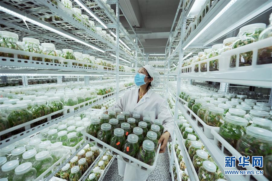 (新華全媒頭條·兩會(huì)精神看落實(shí)·圖文互動(dòng))(1)適應(yīng)發(fā)展新方位 奮進(jìn)決勝長征路