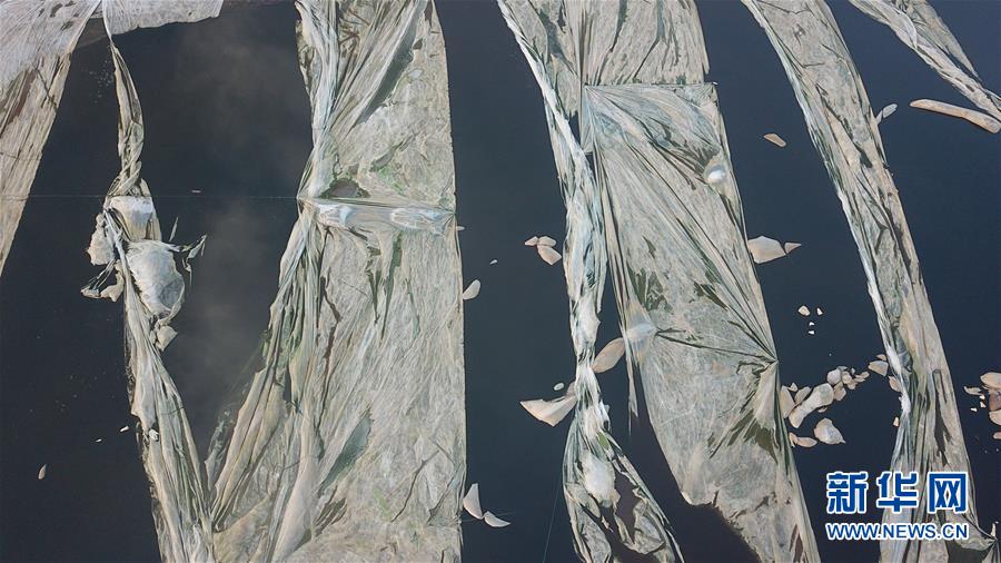 （圖文互動）（3）環保督察“回頭看”點名批評江蘇泰興長江邊傾倒污泥“變本加厲”