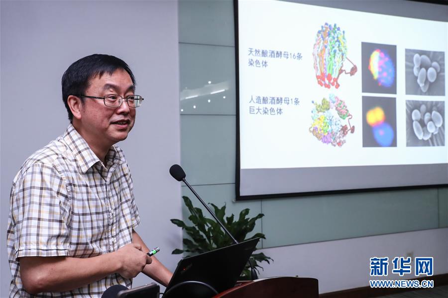 （科技）（2）中國“創造”世界首例單條染色體真核細胞