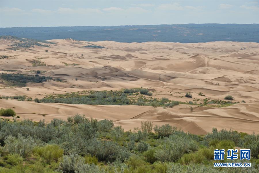 (在習近平新時代中國特色社會主義思想指引下——新時代新作為新篇章·圖文互動)(6)庫布其競相演繹“點沙成金”傳奇