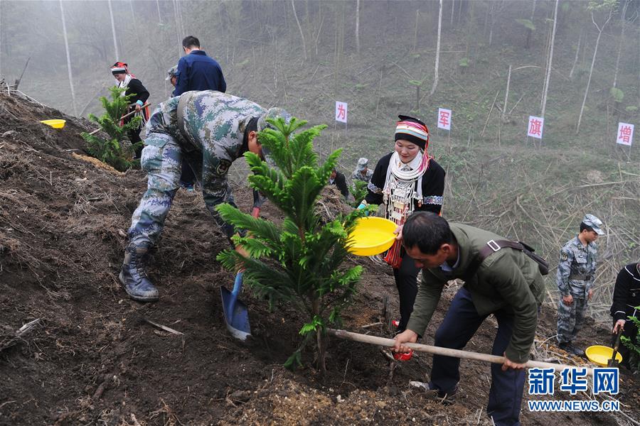 （圖文互動）（6）和平年代，離死神最近的人——南部戰區陸軍云南掃雷大隊邊境掃雷排爆記事