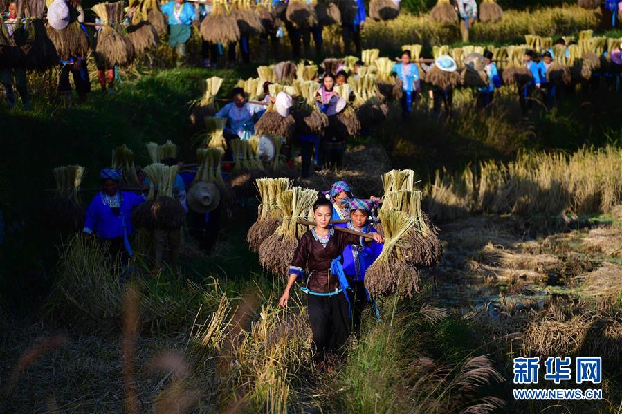 （輝煌60年·壯美新廣西·圖文互動）（6）攜手描繪八桂大地上的美麗畫卷——寫在廣西壯族自治區成立60周年之際