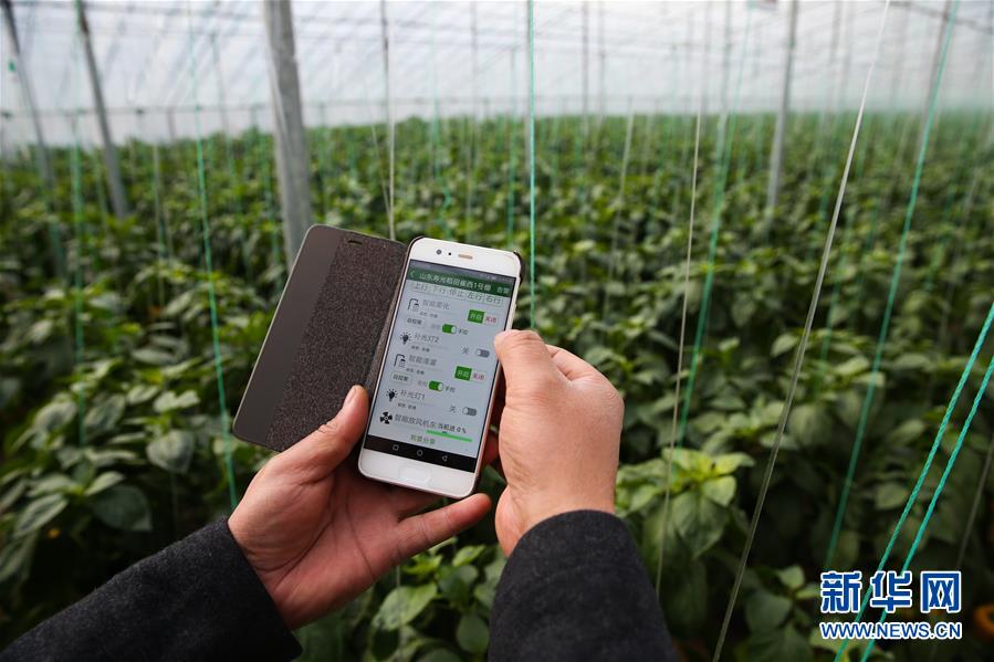 (新華全媒頭條·圖文互動)(8)聚焦高質量,躍上新臺階——新年開局看中國經濟信心和潛力