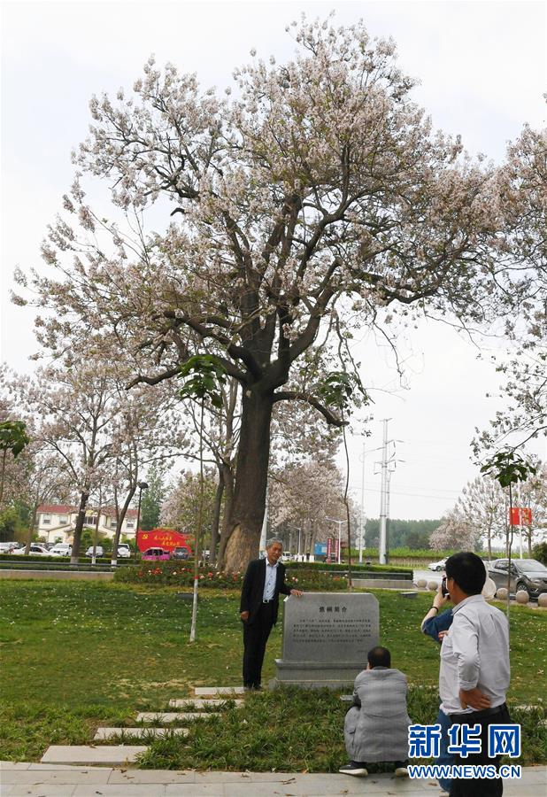 （壯麗70年·奮斗新時代·圖文互動）（6）以改革創(chuàng)新實(shí)現(xiàn)縣域新治——河南蘭考縣域治理樣本觀察