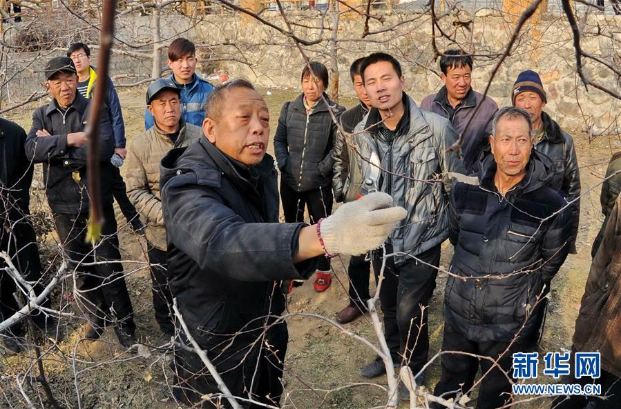 （新華全媒頭條·圖文互動）（8）鍛造領航復興的中流砥柱——寫在“不忘初心、牢記使命”主題教育即將啟動之際