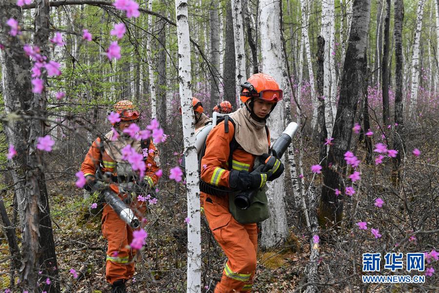 (壯麗70年·奮斗新時代·圖文互動)(3)林海孤島唱響冰與火之歌——記內蒙古森林消防總隊大興安嶺支隊奇乾中隊