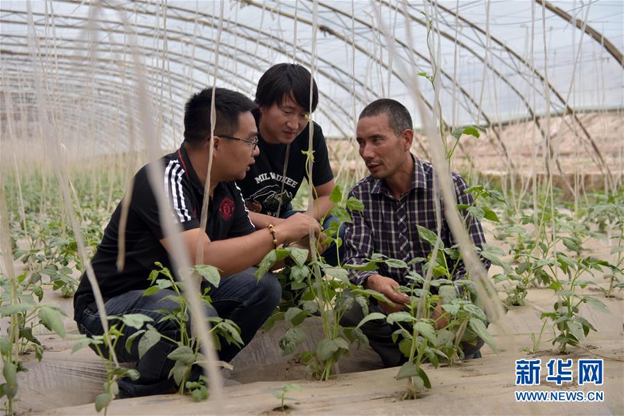 （新華全媒頭條·圖文互動(dòng)）（10）同心援疆，“壯闊”祖國西北角