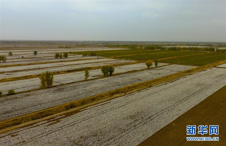 （壯麗70年·奮斗新時代——共和國發(fā)展成就巡禮·圖文互動）（1）鑄劍為犁造綠洲 安邊固疆筑“長城”——新疆生產(chǎn)建設(shè)兵團維穩(wěn)戍邊改革發(fā)展紀實