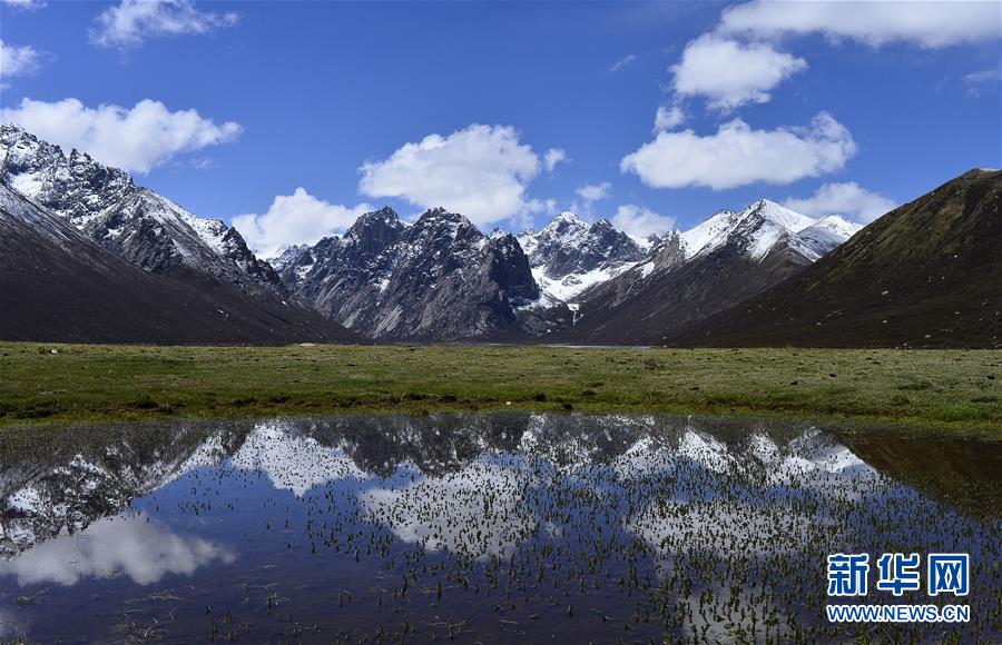 (今日關(guān)注·第一屆國家公園論壇·圖文互動)(6)首個國家公園什么樣?專家?guī)阆?ldquo;睹”為快