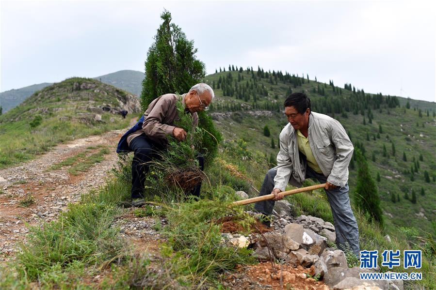 (圖文互動(dòng))(2)“退休20年,咱就干了這么一件事”——記山西水利廳退休干部高文毓的“綠山夢(mèng)”