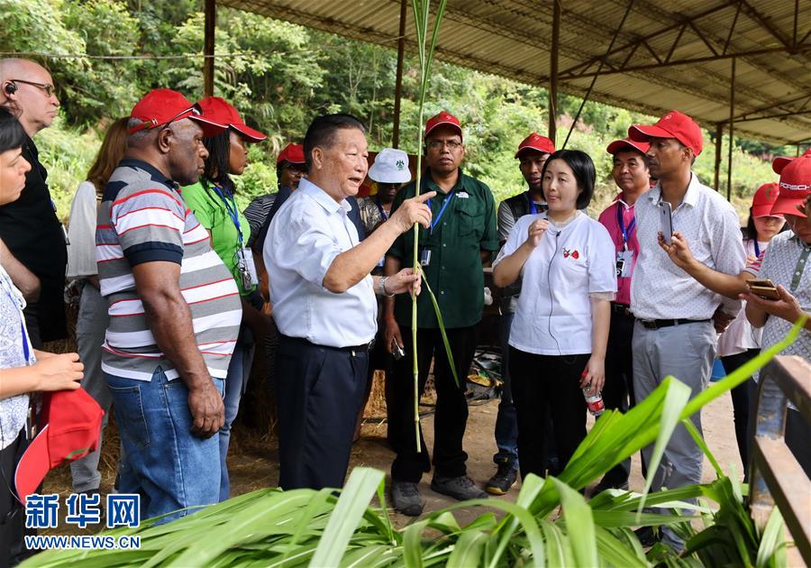 （不忘初心、牢記使命·圖文互動）（5）拳拳寸草心 濃濃報國情——記“菌草之父”林占熺