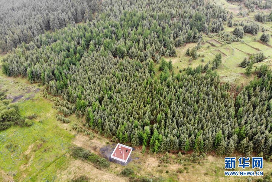 （新華全媒頭條·圖文互動(dòng)）（11）綠色的啟示——西部地區(qū)生態(tài)問(wèn)題典型個(gè)案再調(diào)查