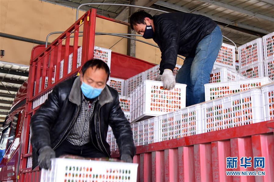 （聚焦疫情防控·圖文互動）（5）吃的東西充足，做點花樣菜吧！——中部地區最大農產品批發市場見聞 