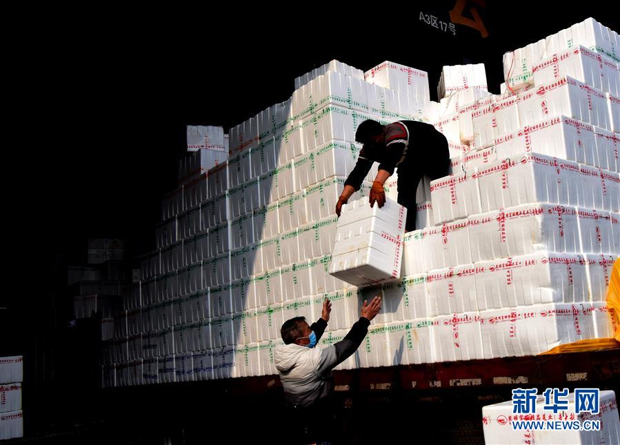 （聚焦疫情防控·圖文互動）（4）吃的東西充足，做點花樣菜吧！——中部地區最大農產品批發市場見聞 