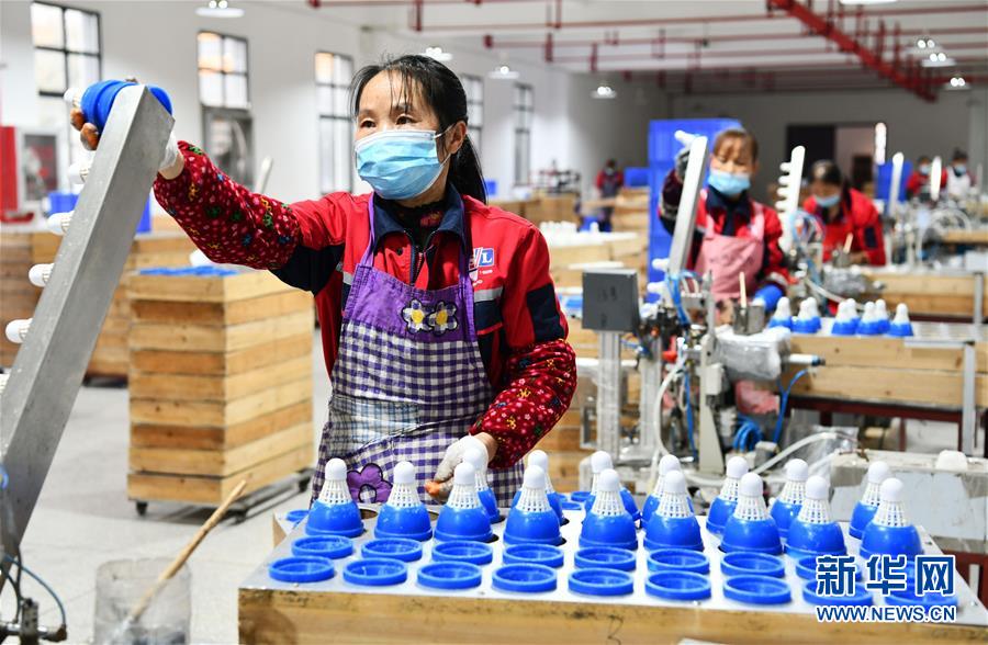 （決戰決勝脫貧攻堅·圖文互動）（6）天然“寶貝”促增收——貴州錦屏縣培育扶貧產業見聞