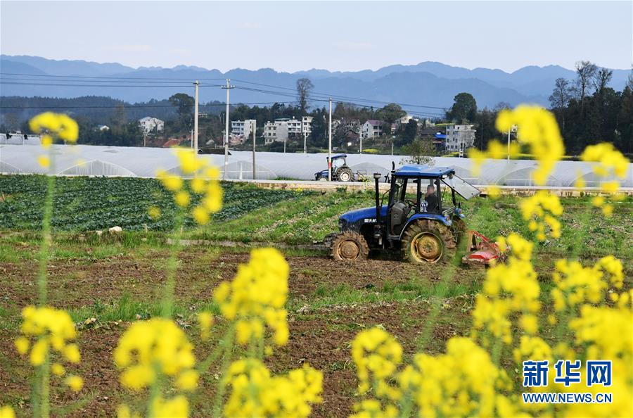(決戰決勝脫貧攻堅·圖文互動)(3)貴州黔東南:搶抓壩區春耕 決勝脫貧攻堅