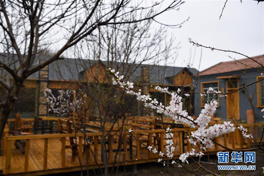 (圖文互動(dòng))(6)“疫”去客來會(huì)有時(shí)——新疆伊犁河谷旅游市場漸暖見聞