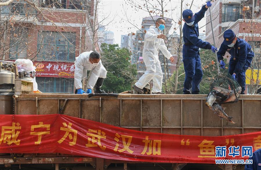 （新華全媒頭條·圖文互動）（12）從人民中汲取磅礴力量——習近平總書記同出席2020年全國兩會人大代表、政協委員共商國是紀實