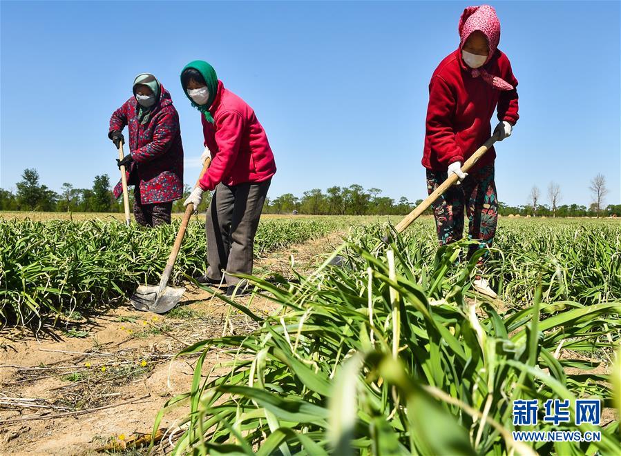 （新華全媒頭條·圖文互動）（17）從人民中汲取磅礴力量——習近平總書記同出席2020年全國兩會人大代表、政協委員共商國是紀實