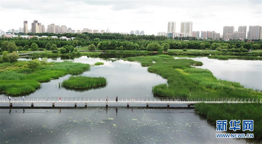 （走向我們的小康生活·圖文互動）（1）水清、地綠、空氣新——最北省份黑龍江繪就生態治理新畫卷