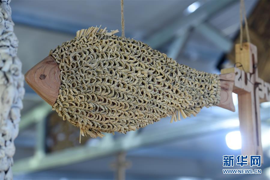  （新華全媒頭條·圖文互動）（6）青春，在希望的田野上——大別山區尋訪“城歸”大學畢業生