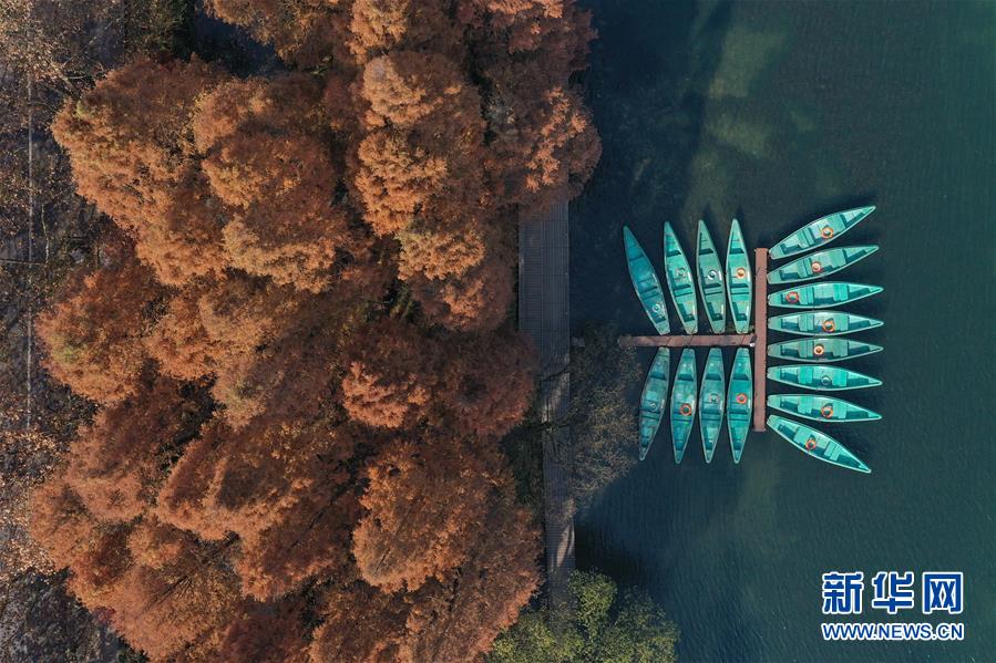 (新華全媒頭條·圖文互動)(8)錢塘今朝更繁華——高水平小康的“杭州答卷”