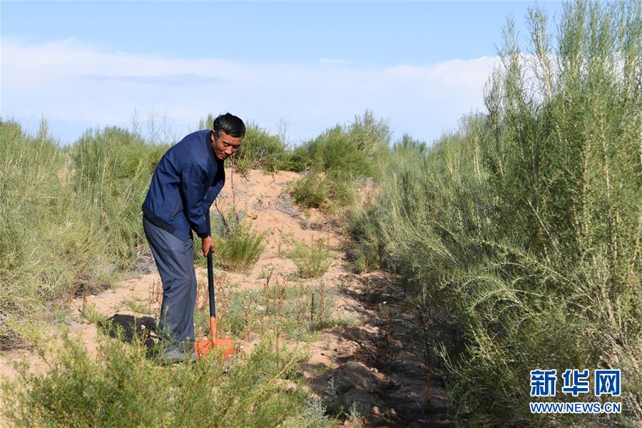 (新華全媒頭條·走向我們的小康生活·圖文互動)(8)“苦甲”不再,“甘味”綿長——脫貧攻堅的甘肅味道