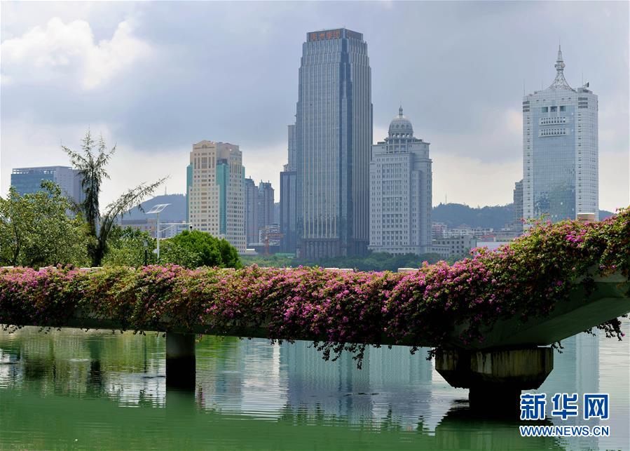 （特區(qū)40年?圖文互動(dòng)）（7）廈庇五洲客 門納萬頃濤——廈門經(jīng)濟(jì)特區(qū)40年發(fā)展紀(jì)實(shí)