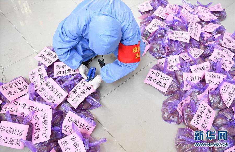 (習(xí)近平致敬的戰(zhàn)“疫”英雄·志愿者篇·圖文互動)(11)他們,微光成炬照征程