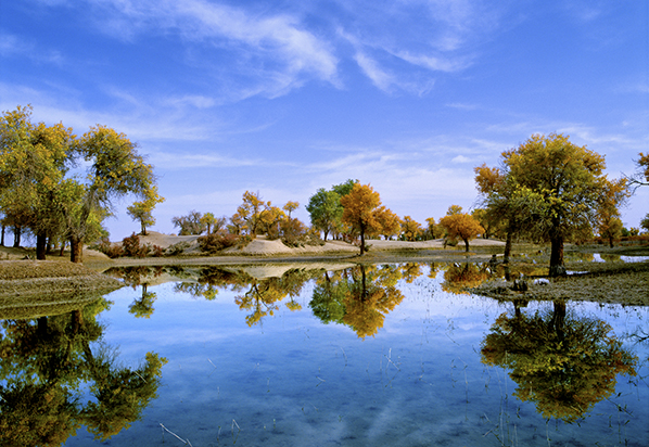 張建龍:推進國土綠化 扮靚綠水青山