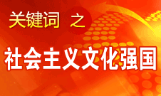 胡錦濤提出，扎實推進社會主義文化強國建設
