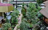 震撼！日本最豪華的廁所（組圖）