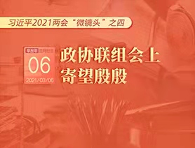習近平2021兩會“微鏡頭”之四：3月6日 政協聯組會上，寄望殷殷