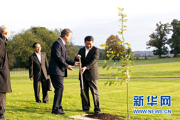 兩國領導人一同在別墅草坪，共同種下象征中英友誼的橡樹。新華社記者 鞠鵬 攝