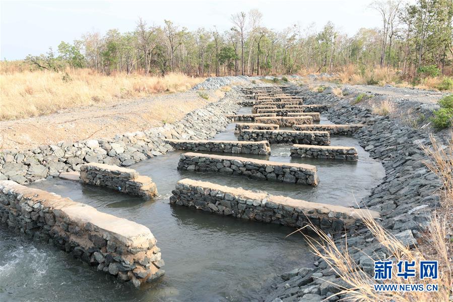 （國際&middot;&ldquo;一帶一路&rdquo;高峰論壇&middot;圖文互動）（2）通訊：為魚兒保障回家的路&mdash;&mdash;中國水電工程助力柬埔寨綠色發展
